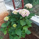 Σπίτι διακοπών Jardin With Free Cowered Parking