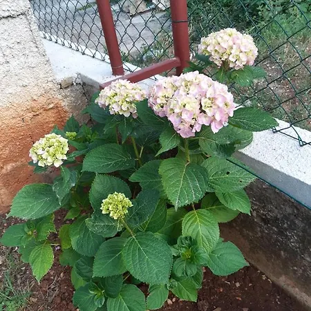 Prázdninový dům Jardin With Free Cowered Parking