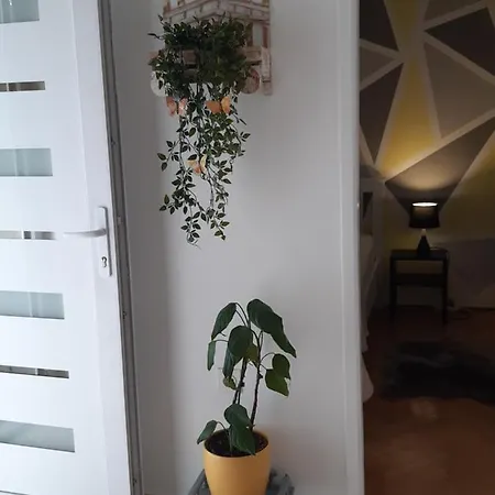 Jardin With Free Cowered Parking Prázdninový dům *