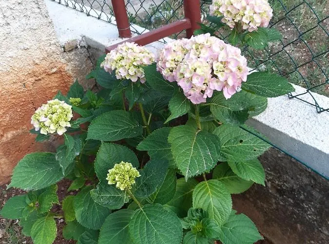Σπίτι διακοπών Jardin With Free Cowered Parking